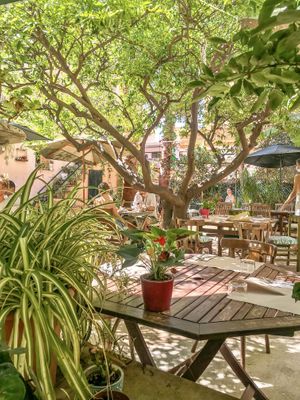 Jardín  at Temple Natura in Mallorca