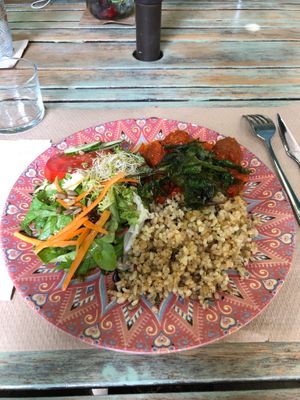 Vegan meatballs with rice and salad. The tomato sauce was homemade. at Temple Natura in Mallorca
