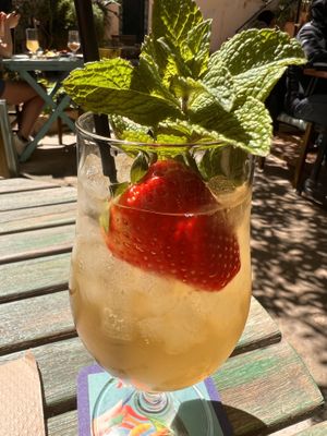 Kombucha  at Temple Natura in Mallorca