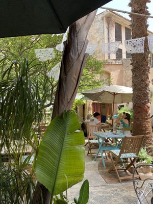   at Temple Natura in Mallorca