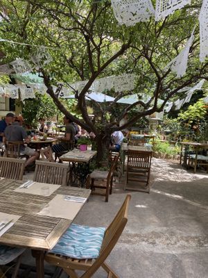   at Temple Natura in Mallorca