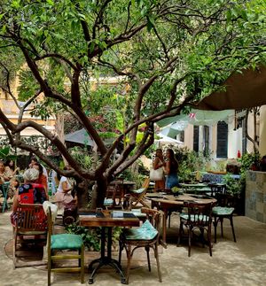 The garden. at Temple Natura in Mallorca