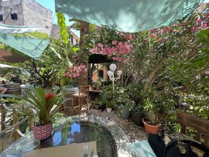   at Temple Natura in Mallorca