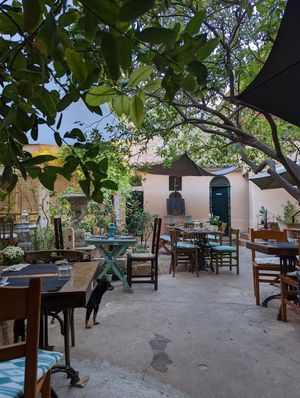  at Temple Natura in Mallorca