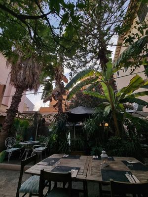  at Temple Natura in Mallorca