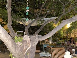   at Temple Natura in Mallorca