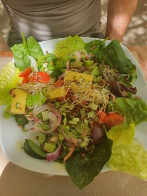 Chef's special salad... lentil salad at Temple Natura in Mallorca