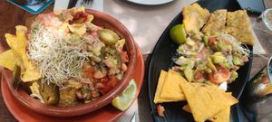  at Temple Natura in Mallorca