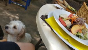 salad and canine company at Temple Natura in Mallorca