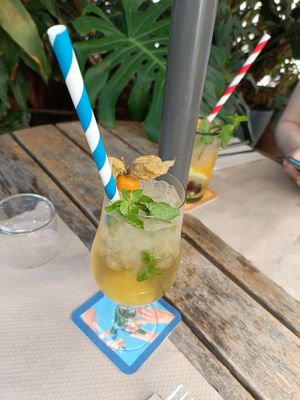 Combucha tea at Temple Natura in Mallorca