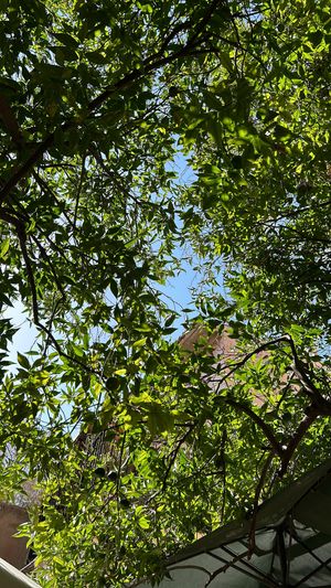   at Temple Natura in Mallorca