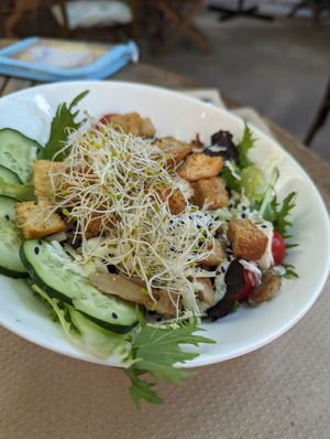  at Temple Natura in Mallorca