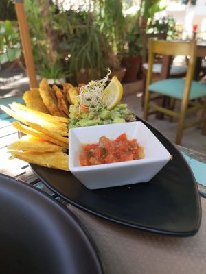   at Temple Natura in Mallorca