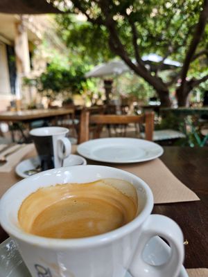  at Temple Natura in Mallorca