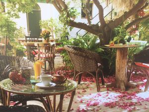 beautiful garden  at Temple Natura in Mallorca