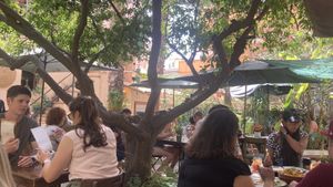 Nice gardenn  at Temple Natura in Mallorca