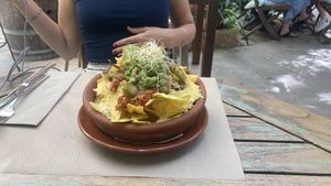   at Temple Natura in Mallorca