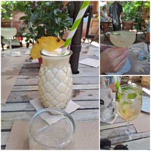 Pina Colada, Magarita, Hugo at Temple Natura in Mallorca