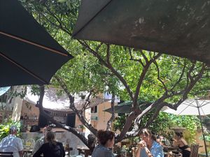  at Temple Natura in Mallorca