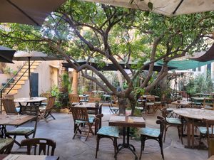  at Temple Natura in Mallorca