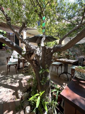 Eating in naturee  at Temple Natura in Mallorca