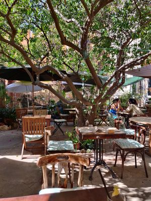 Garden at Temple Natura in Mallorca
