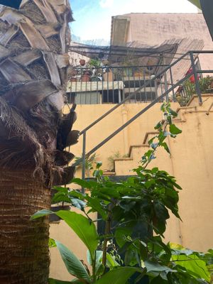  at Temple Natura in Mallorca