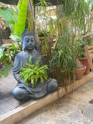  at Temple Natura in Mallorca