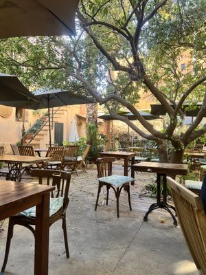   at Temple Natura in Mallorca