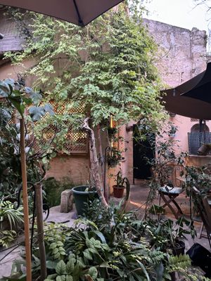   at Temple Natura in Mallorca