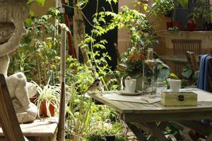   at Temple Natura in Mallorca