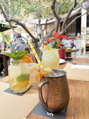   at Temple Natura in Mallorca