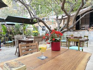   at Temple Natura in Mallorca