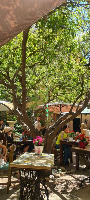  at Temple Natura in Mallorca