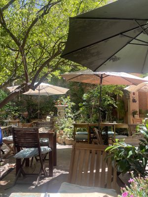   at Temple Natura in Mallorca