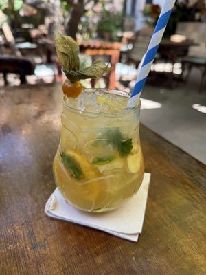   at Temple Natura in Mallorca