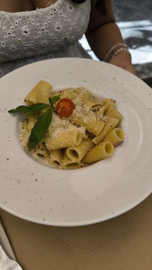  at Temple Natura in Mallorca