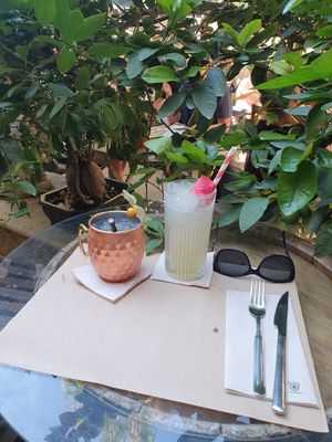  at Temple Natura in Mallorca