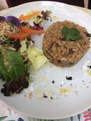 Mushroom risotto.  at Temple Natura in Mallorca