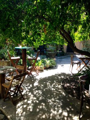 Garden/ Yard at Temple Natura in Mallorca