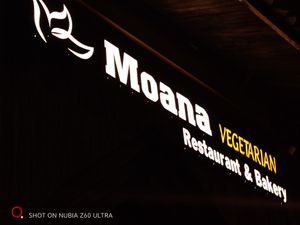  at MOANA Vegetarian Restaurant in Sapa
