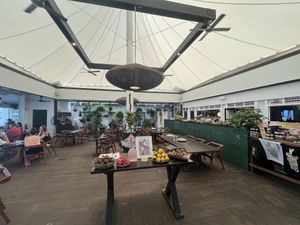   at Nu Nu in Palm Cove