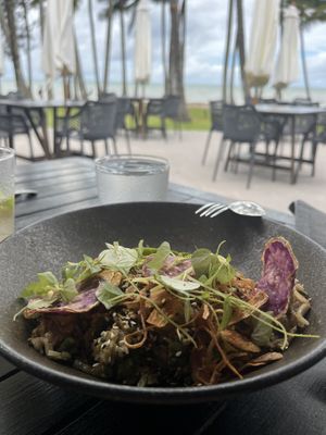   at Nu Nu in Palm Cove