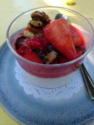 Pannacota at Gare du Nord in Rotterdam