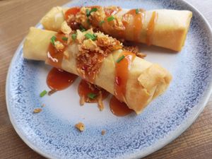 Starter at Gare du Nord in Rotterdam