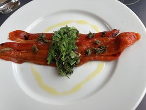 Starter  at Gare du Nord in Rotterdam