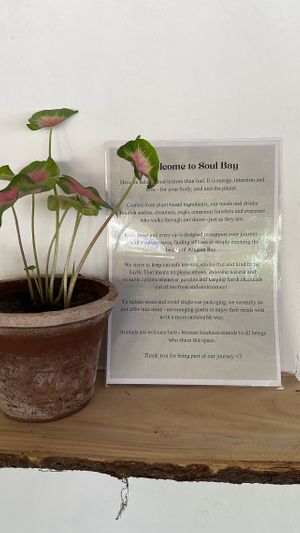 Values   at Soul Bay in Arugam Bay