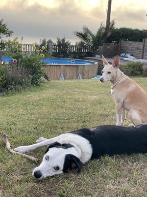   at o soño in Ladeira