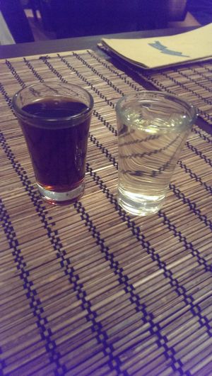 Pálinka & Unicum at Kozmosz Vegan Etterem in Budapest