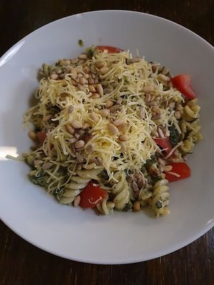 pasta dish - great at Kozmosz Vegan Etterem in Budapest